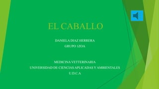 EL CABALLO
DANIELA DIAZ HERRERA
GRUPO 1ZOA
MEDICINA VETTERINARIA
UNIVERSIDAD DE CIENCIAS APLICADAS Y AMBIENTALES
U.D.C.A
 