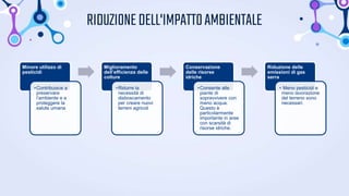RIDUZIONEDELL'IMPATTOAMBIENTALE
Minore utilizzo di
pesticidi
•Contribuisce a
preservare
l’ambiente e a
proteggere la
salute umana
Miglioramento
dell’efficienza delle
colture
•Ridurre la
necessità di
disboscamento
per creare nuovi
terreni agricoli
Conservazione
delle risorse
idriche
•Consente alle
piante di
sopravvivere con
meno acqua.
Questo è
particolarmente
importante in aree
con scarsità di
risorse idriche.
Riduzione delle
emissioni di gas
serra
• Meno pesticidi e
meno lavorazione
del terreno sono
necessari.
 