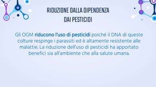Gli OGM riducono l’uso di pesticidi poiché il DNA di queste
colture respinge i parassiti ed è altamente resistente alle
malattie. La riduzione dell’uso di pesticidi ha apportato
benefici sia all’ambiente che alla salute umana.
RIDUZIONEDALLADIPENDENZA
DAIPESTICIDI
 