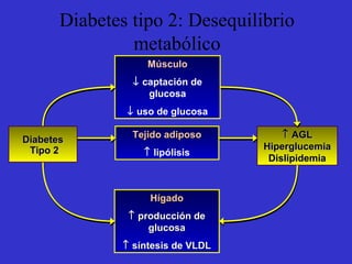 Diabetes tipo 2: Desequilibrio
metabólico
Músculo
↓ captación de
glucosa
↓ uso de glucosa
↑↑ AGLAGL
HiperglucemiaHiperglucemia
DislipidemiaDislipidemia
Tejido adiposoTejido adiposo
↑ lipólisis
HígadoHígado
↑↑ producción deproducción de
glucosaglucosa
↑↑ síntesis de VLDLsíntesis de VLDL
DiabetesDiabetes
Tipo 2Tipo 2
 