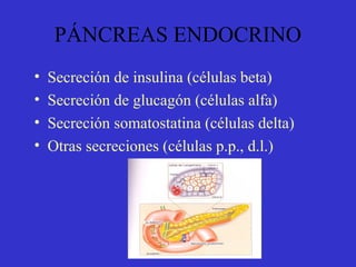 PÁNCREAS ENDOCRINO
• Secreción de insulina (células beta)
• Secreción de glucagón (células alfa)
• Secreción somatostatina (células delta)
• Otras secreciones (células p.p., d.l.)
 
