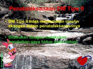 Penatalaksanaan DM Tipe II DM Tipe II tidak memerlukan insulin eksogen dalam penatalaksanaannya Dilakukan dengan melakukan perubahan gaya hidup (pola hidup) 