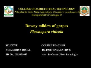 COLLEGE OF AGRICULTURAL TECHNOLOGY
(Affiliated to Tamil Nadu Agricultural University, Coimbatore-3)
Kullapuram (Po),ViaVaigai D
Downy mildew of grapes
Plasmopara viticola
STUDENT
Miss. DIBIYA JOSE.L
ID. No. 2015021032
COURSE TEACHER
Dr. PARTHASARATHY S
Asst. Professor (Plant Pathology)
 