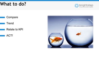 What to do?

  Compare

  Trend

  Relate to KPI

  ACT!
 