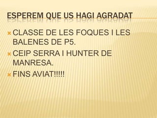 ESPEREM QUE US HAGI AGRADATCLASSE DE LES FOQUES I LES BALENES DE P5.CEIP SERRA I HUNTER DE MANRESA.FINS AVIAT!!!!!