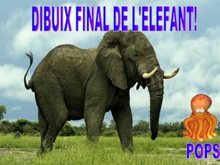 DIBUIX FINAL DE L'ELEFANT! POPS 