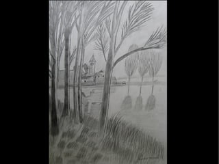 Dibuix observació 1