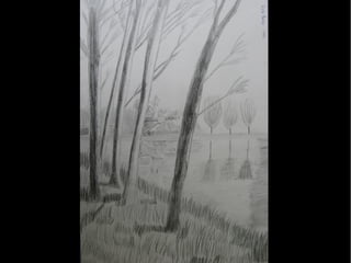 Dibuix observació 1