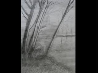 Dibuix observació 1