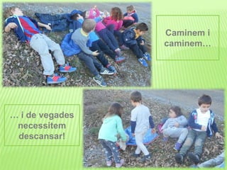 Caminem i
caminem…
… i de vegades
necessitem
descansar!
 