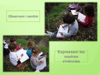 Observem i sentim
Expressem les
nostres
vivències
 