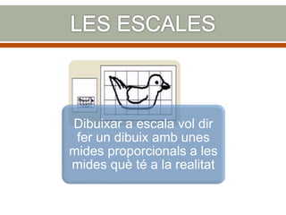 Dibuixar a escala vol dir
fer un dibuix amb unes
mides proporcionals a les
mides què té a la realitat
 