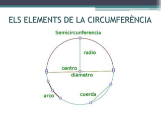ELS ELEMENTS DE LA CIRCUMFERÈNCIA
 