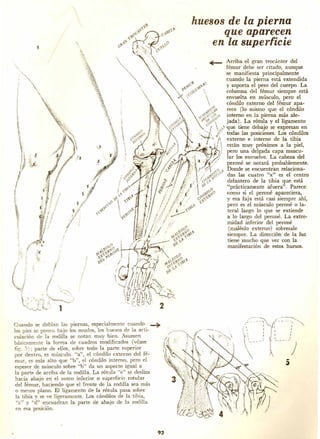 Dibujando art droid pc