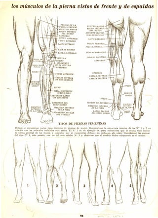 Dibujando art droid pc