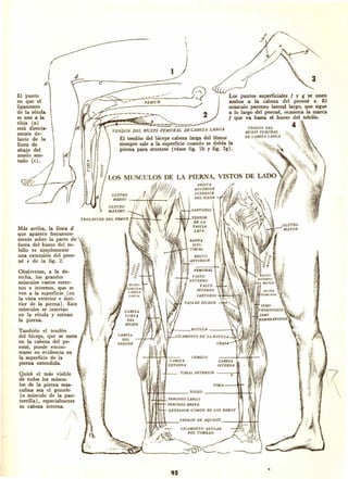 Dibujando art droid pc