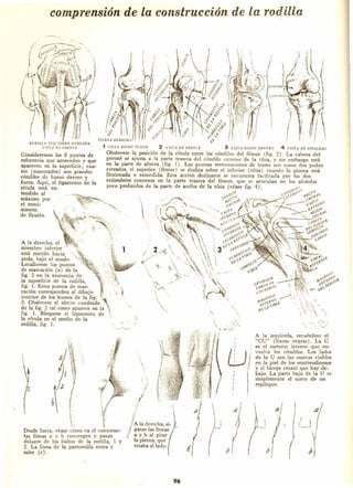 Dibujando art droid pc