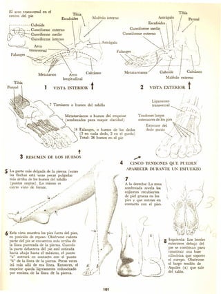 Dibujando art droid pc