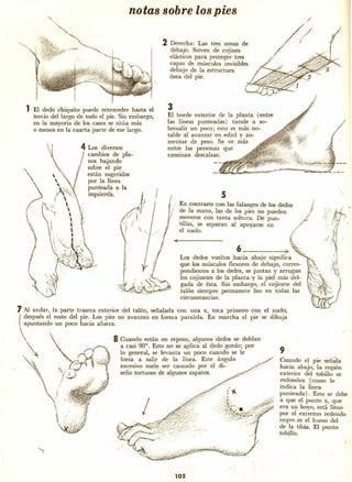 Dibujando art droid pc