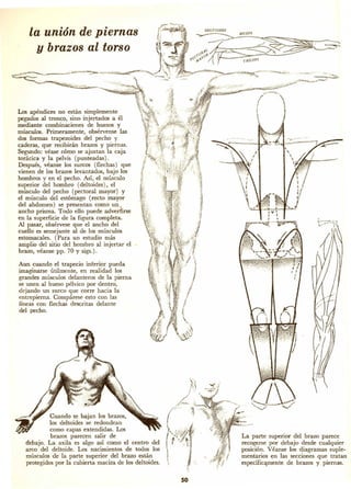 Dibujando art droid pc