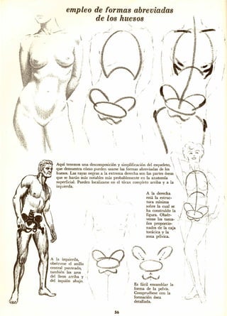 Dibujando  art droid pc