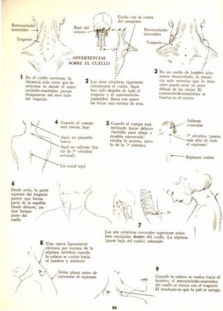 Dibujando art droid pc