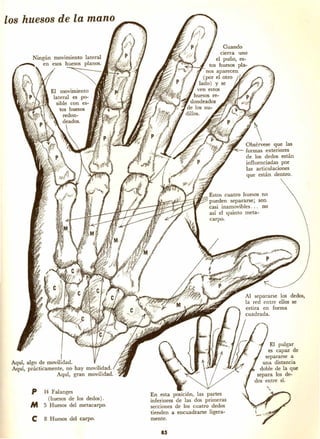 Dibujando art droid pc