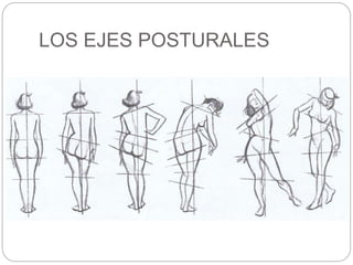 LOS EJES POSTURALES 
 