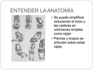 ENTENDER LA ANATOMÍA 
 Se puede simplificar 
reduciendo el torso y 
las caderas en 
volúmenes simples, 
como cajas 
 Piernas y brazos se 
articulan sobre estas 
cajas. 
 