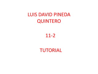 LUIS DAVID PINEDA
QUINTERO
11-2
TUTORIAL
 