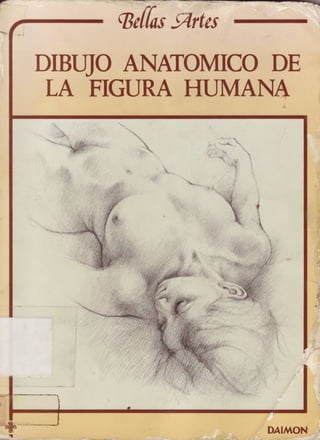 la Figura Humana dubujo anatomico 
