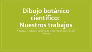 Dibujo botánico
científico:
Nuestros trabajos
A través de la cultura de pensamiento crítico y de retroalimentación
formativa
 