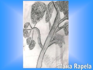María Rapela