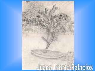 Juana Iriarte Palacios