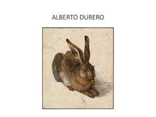 ALBERTO DURERO
 