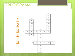 CRUCIGRAMA
1
2
3
4
5