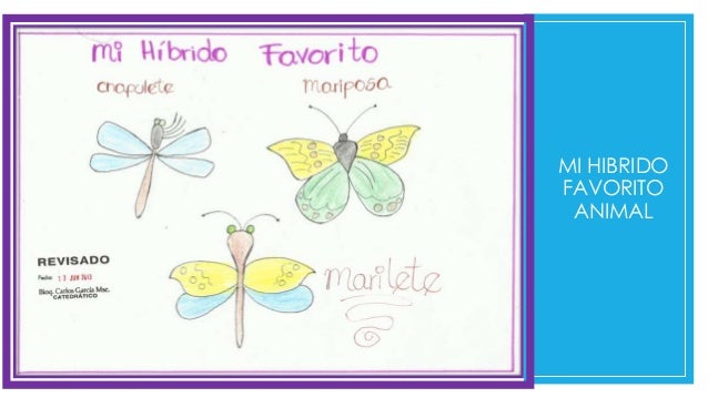 Dibujos de biologia