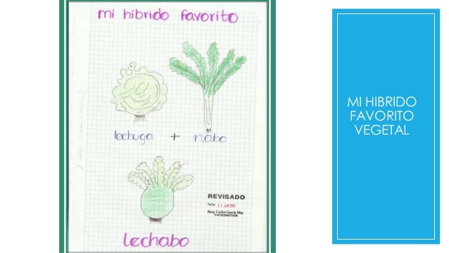 Dibujos De Biologia