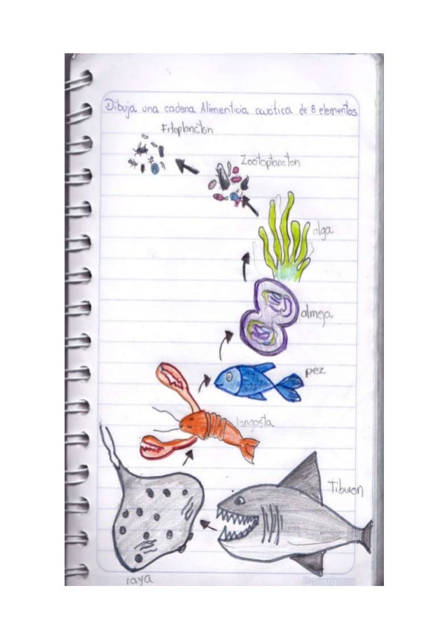 Dibujos De Biologia