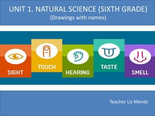 UNIT 1. NATURAL SCIENCE (SIXTH GRADE)
(Drawings with names)
Teacher Liz Mendz
 