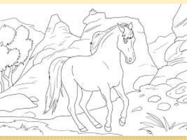 Dibujos para colorear de animales