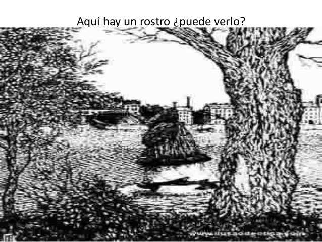 Imagenes Percepcion Visual Para Niños | dibujos para desarrollar la percepci 243 n visual 3 Imagenes Percepcion Visual Para Niños | dibujos para desarrollar la percepci 243 n visual 3