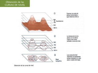Obtención de las 
CURVAS DE NIVEL 
 