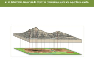 2. Se determinan las curvas de nivel y se representan sobre una superficie a escala.  