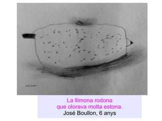 La llimona rodona que olorava molta estona. José Boullon, 6 anys 