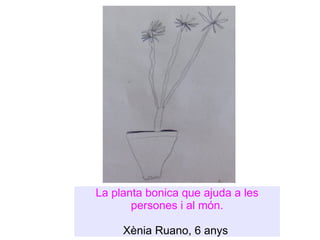 La planta bonica que ajuda a les persones i al món. Xènia Ruano, 6 anys  