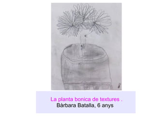 La planta bonica de textures . Bàrbara Batalla , 6 anys  