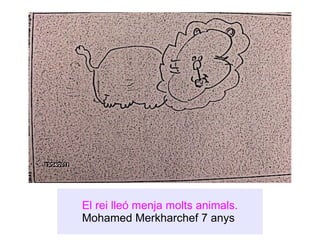 El rei lleó menja molts animals. Mohamed Merkharchef 7 anys  