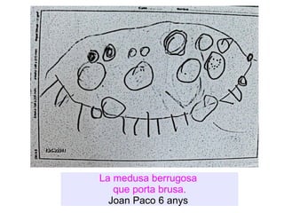 La medusa berrugosa  que porta brusa. Joan Paco 6 anys  