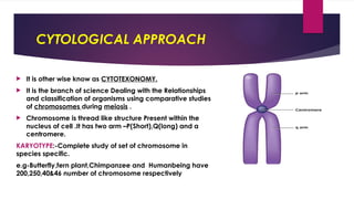 CYTOLOGICAL APPROACH & BEHAVIOURAL APPROACH | PPTX